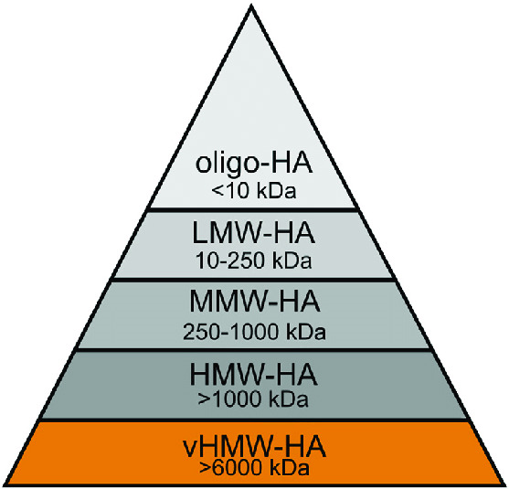 ACIDO IALURONICO (HA) 